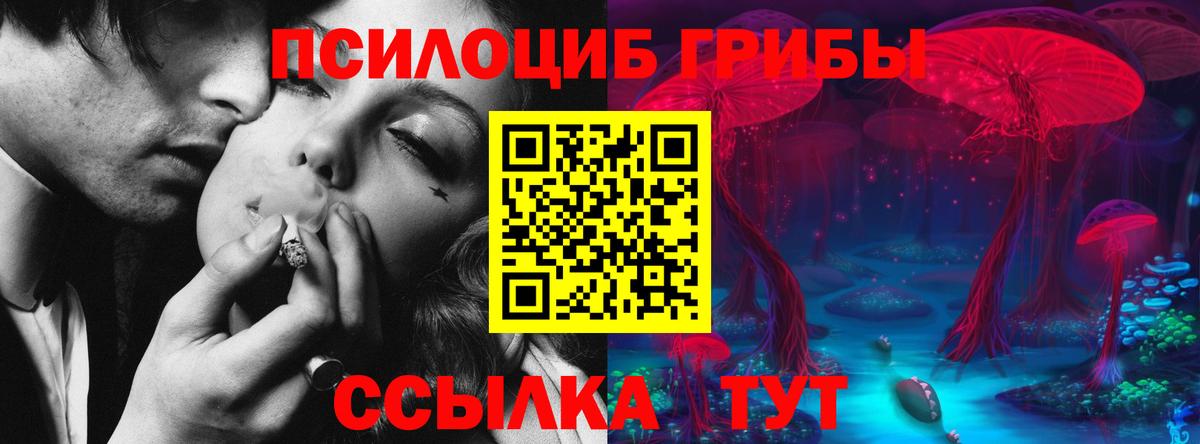 Галлюциногенные грибы Psilocybine cubensis  Вход с VPN  Йошкар-Ола 